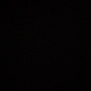 Meet your Posher, Zack